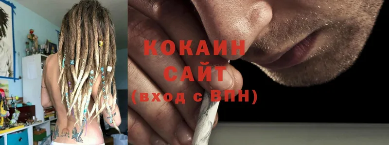 Кокаин Fish Scale  как найти закладки  Лесозаводск 